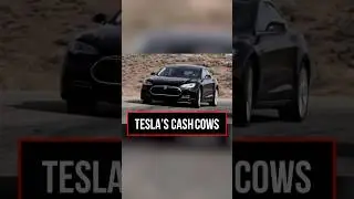 The Truth About Tesla's Profit Strategy Revealed | TSK Club