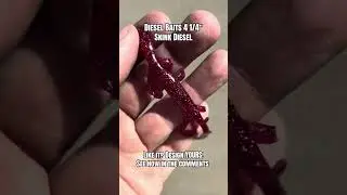 The DIESELBAITS.COM Skink Diesel lizard fishing lure #fishing #outdoor #short #bassfishing #outdoors