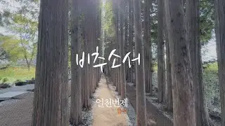 일천번제 합창 - 비추소서 (송년주일/송구영신예배/신년주일 찬양)