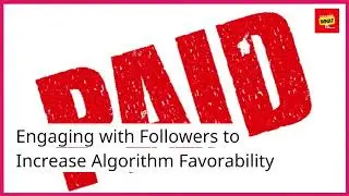 How to turn social media algorithms into tools for activism