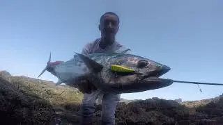 Lure:jumprize Chata Bee, caña taiwalk-HI-TIDE-SSD/711L acción 5-24gr peces xxl con equipos light