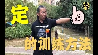 【养狗小白入门指南】教大家一个非常实用的口令： 