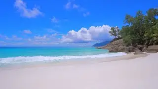 🏝 Relax on a Luxury Island in Seychelles. Tropical Beach in Summer.