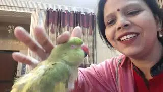 मम्मी का कहना मानने वाला मिट्ठू#viralvideo #tranding 