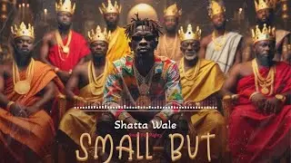 Shatta Wale - Small But Mighty