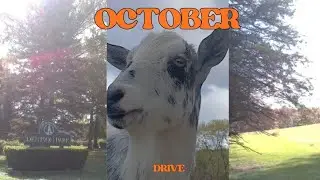 Upstate New York October Drive |Vlog| Part 2 #upstateny #ny #vlogger #roadtrip