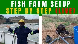 From Empty Land to Fish Farm: Full Setup Process (LIVE)