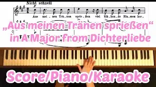 Dichterliebe : No. 02. &bdquo;Aus meinen Tr&auml;nen sprie&szlig;en&ldquo; in A Major : Karaoke : Piano  : Score