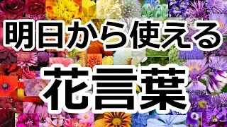 【生物】明日から使える 花言葉