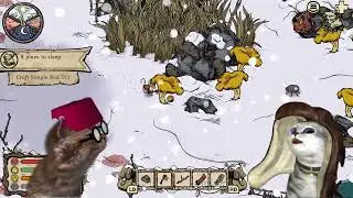 Winter Burrow as played by adorable kittens