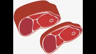 Is Eating Meat a Personal Choice?