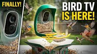 HIXX Bird Feeder with Camera Solar Powered with AI Identify Bird Species