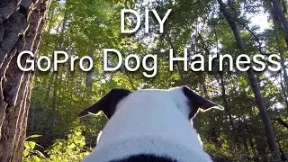 DIY GoPro Dog Harness