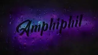 Amphiphil - No Backboard