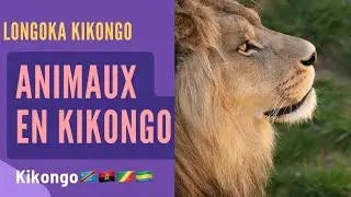 Apprendre les noms des animaux en kikongo ye mpe Longoka kikongo