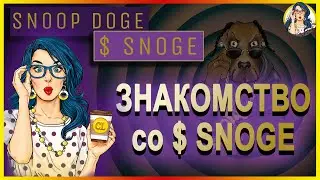 🔶 SNOGE - Управляемая сообществом дефляционная мем-монета #SnoopDoge // ОБЗОР ПРОЕКТА