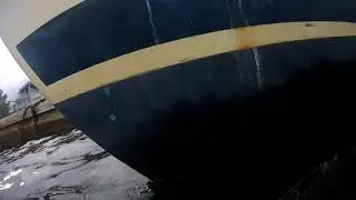 Ultrasonic antifouling