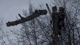 -10 degrees winter tree removal 🤙🏼🥶