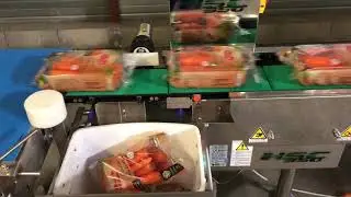 Checkweighers - Fruit & Vegs Compilation