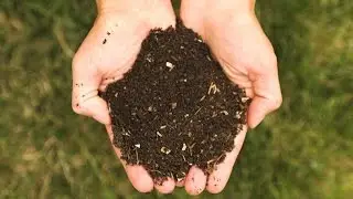 Compost, Manure and Fertiliser In Baatein Kheti Ki - On Green TV
