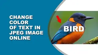 how to change color of text in jpeg image online