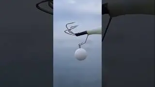 Il Tako Egi pi&ugrave; efficace per la pesca del Polpo - INPESCA&reg;