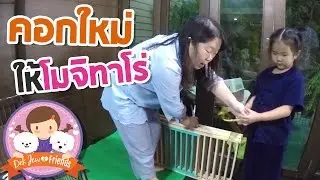 เด็กจิ๋วกับคอกใหม่ของโมจิทาโร่