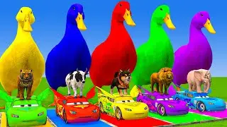 5 Giant Duck Cartoon,Cow,Elephant,Tiger,Lion,Dinosaur,Paint Wild Animals Crossing Fountain Animation