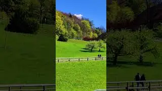 Vaduz Castle - Liechtenstein #shorts #europe #liechtenstein #beautiful #view
