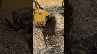 Заниження пнів, професійна послуга в Україні від @SKAZHENYIBOBER