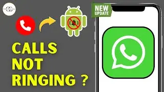 Как исправить ошибку &laquo;Не звонит WhatsApp&raquo; на Android 2025 &mdash; пошаговое руководство