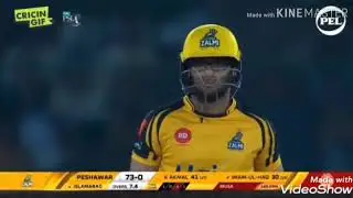 peshawar zalmi status song