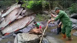 go into the forest to pick herbs to make poison to catch fish