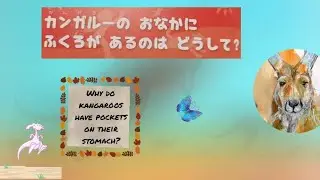 learn Japanese kanji and vocabulary in context. 英語　単語　学ぶ
