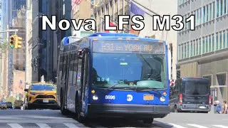 Nova LF40102 LFS on the M31