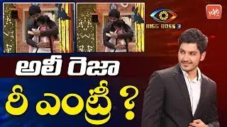 Bigg Boss 3 Telugu Ali Reza Re Entry? | Ali Reza Re Entry In Bigg Boss | YOYO TV Channel