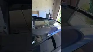 Lamborghini makes weird noise #lamborghini #gallardo #egear