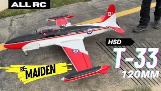 Thank God For Instant Trim! Custom painted Giant HSD T-33 with Major Trim issues!
