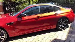 Sakhir Orange