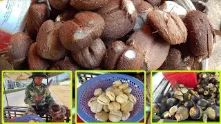Amazing !! Selling palm fruit is a business in Cambodia || Cambodia Street Food