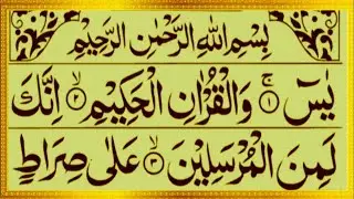 Surah Yasin ❤️🤲 (Yaseen) | Full With Arabic Text HD | Episode 1415 | سورة يس Alafasy Daily Quran