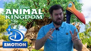 Immersion totale à Animal Kingdom - AMAZING