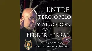Entre Terciopelo y Algodón