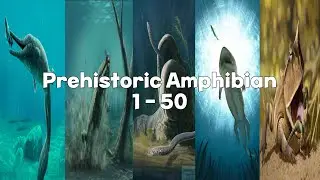 Prehistoric Amphibian 1 - 50 [1/6]
