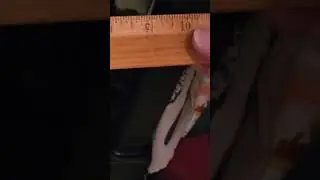 Measure twice or suffer the consequences #organizing #mistake #shorts