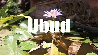 Ubud, the cultural center of Bali, a beautiful city ! | Canon HD | Virtual Trip