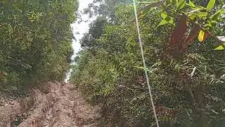 #Subidão/#ConversaFiada/#Bike26/#SemCortes/#Trilha/#DownHill/#EstradaDeTerra/#Foguete