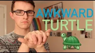 AWKWARD TURTLE | @DANCOMEAU92