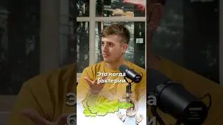 Что гниет в кишечнике?