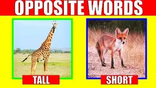 OPPOSITE WORDS in English for Kids  |  Learn Antonyms for Preschool, Kindergarten